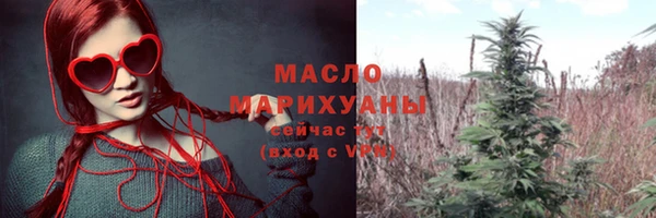 гидра Михайловка