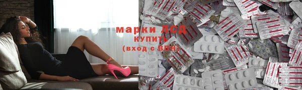 гидра Михайловка
