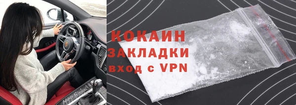 гидра Михайловка