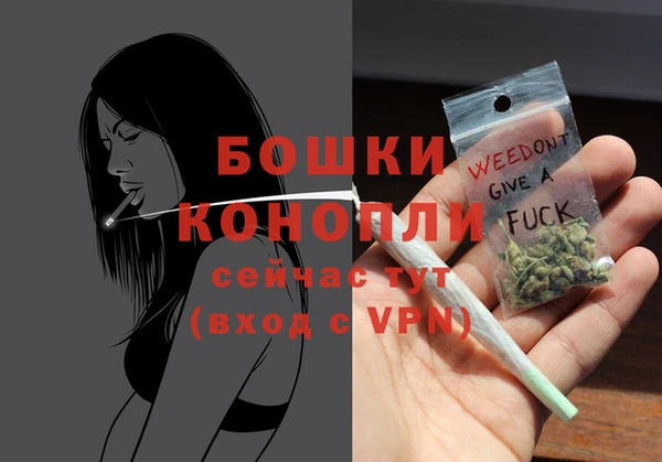 гидра Михайловка