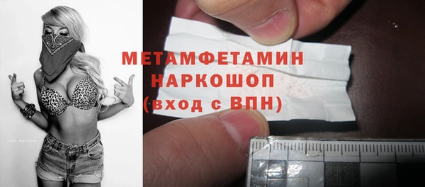 гидра Михайловка