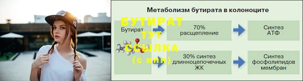 гидра Михайловка