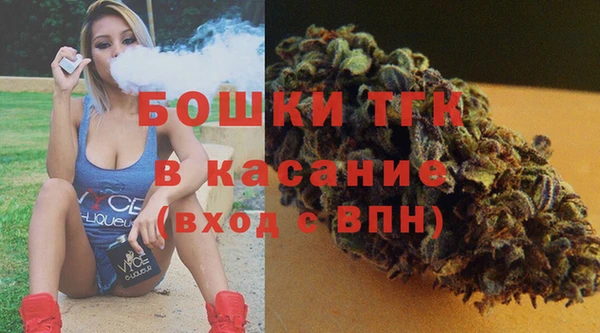 соль ск Михайлов