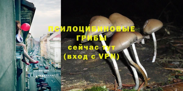таблы Михайловск