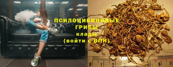 гидра Михайловка