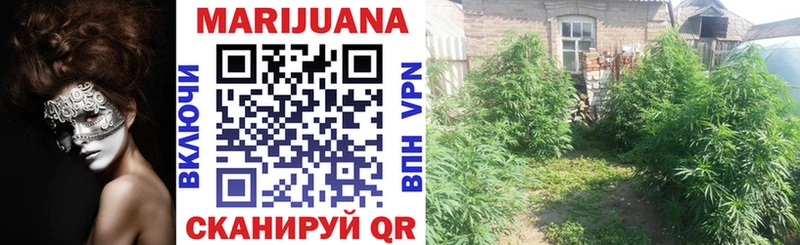 Конопля LSD WEED  omg рабочий сайт  darknet состав  Новохопёрск 